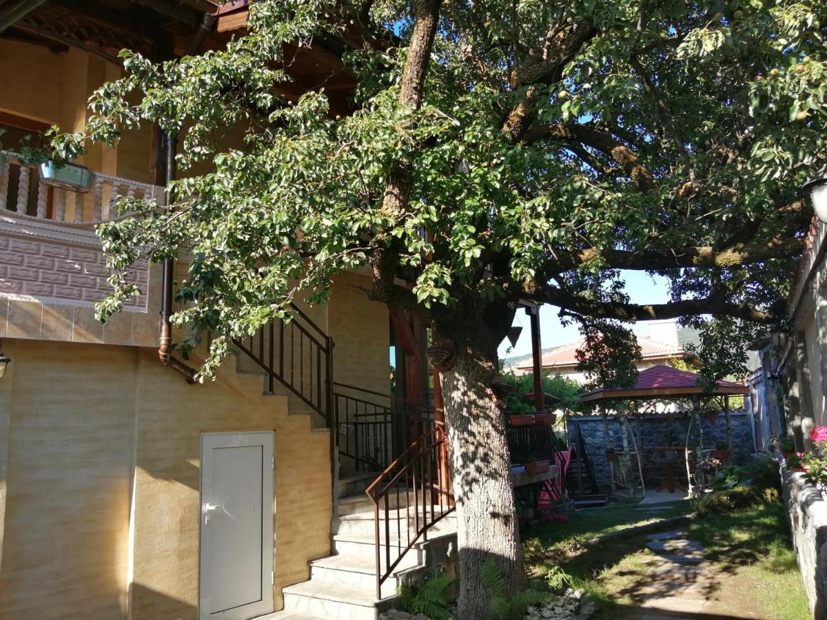 Dariya Guest House Sapareva Banya ภายนอก รูปภาพ