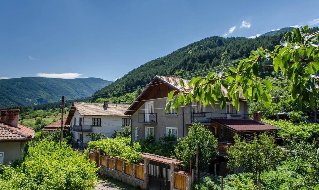 Dariya Guest House Sapareva Banya ภายนอก รูปภาพ