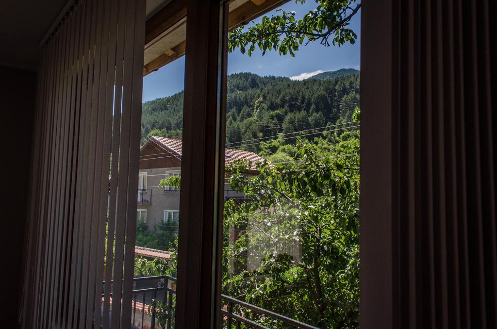 Dariya Guest House Sapareva Banya ห้อง รูปภาพ